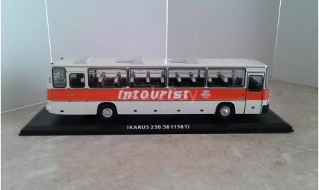 IKARUS (Икарус) - 250.58 (1981) ... (ClassicBus) ..., масштабная модель, scale43