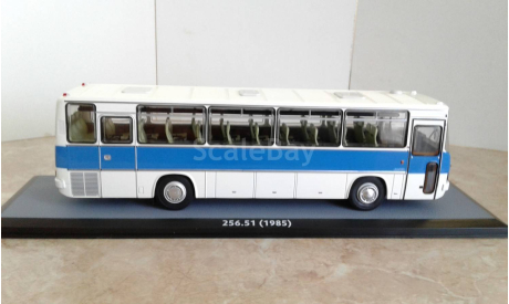 IKARUS (Икарус) - 256.51 (1985) ... (ClassicBus) ..., масштабная модель, scale43