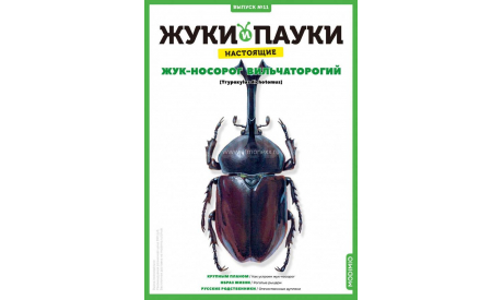 Жуки и пауки №11 - Жук-носорог вильчаторогий, журнальная серия масштабных моделей, MODIMIO, scale0