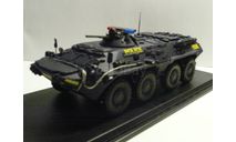 БТР 80 Венгерский контртеррористический центр, масштабная модель, scale43