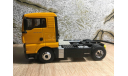 MAN TGX 18.480 Eligor, масштабная модель, scale43