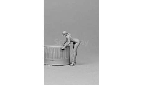 Девушка моет машину 1:43 АМформа 0369, фигурка, scale43