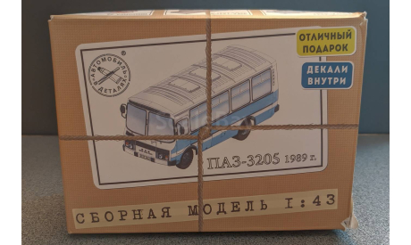ПАЗ-3205 AVD Models, сборная модель автомобиля, scale43