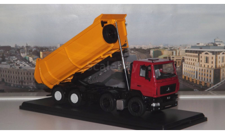 МАЗ-6516 самосвал, U-образный кузов    SSM, масштабная модель, scale43, Start Scale Models (SSM)
