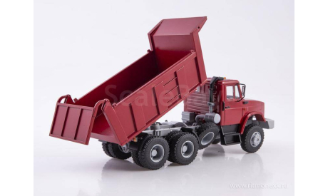 Татра-ЗИЛ-815-21  ModelPro, масштабная модель, scale43