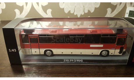 Ikarus 250.59, масштабная модель, Classicbus, scale43