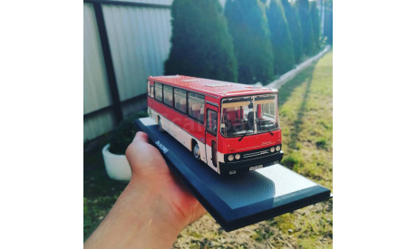 Икарус 254.56 красно-белый Classicbus, масштабная модель, scale43, Ikarus