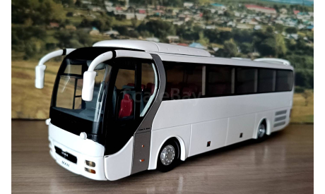 Автобус Man белый, масштабная модель, scale43