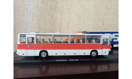 Икарус 250.58, масштабная модель, Ikarus, scale43