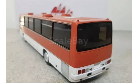 IKARUS 250.59 мерло, масштабная модель, Classicbus, scale43