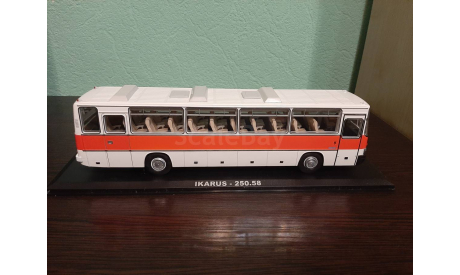 Ikarus 250.58, масштабная модель, Classicbus, scale43