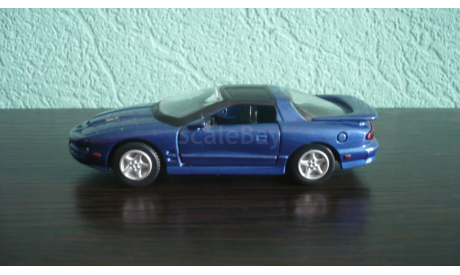 Pontiac Firebird 1999, масштабная модель, Signature, 1:43, 1/43