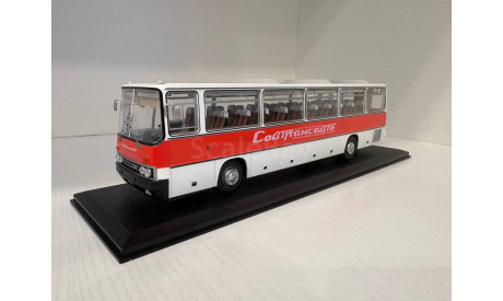 Икарус 250.58 (1981) Совтрансавто от Classicbus, масштабная модель, scale43, Ikarus