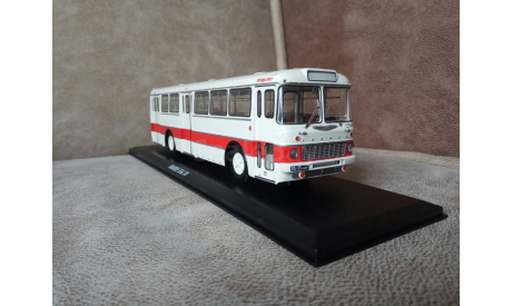 Ikarus-556 (с номерами), масштабная модель, Classicbus, scale43