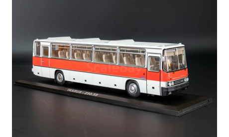 Автобус Икарус 250.58 Classicbus ранний, масштабная модель, Ikarus, scale43