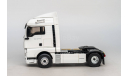 MAN TGX  Eligor РАРИТЕТ, масштабная модель, 1:43, 1/43