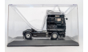 MAN TGX V8 Eligor РАРИТЕТ, масштабная модель, scale43