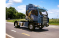 SCANIA 143M THE GRIFFIN 1/43 Truck Tuning Collection, масштабная модель, scale43