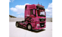 1/43 Man TGX, Truck Tuning Collection, масштабная модель, Hachette, scale43
