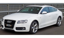 Audi A5 Sportback 3.2 quattro 2009  Schuco 1:43 --- Ауди А5 спортбэк (5 дв.) БЕЛЫЙ / WHITE, масштабная модель, 1/43