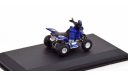 Под ЗАКАЗ! См.ТЕКСТ! Quad Bike Yamaha 700R Dakar 2017 №262 1/43 Квадроцикл Ямаха Raptor 1:43 Дакар, масштабная модель, Altaya, scale43