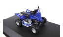 Под ЗАКАЗ! См.ТЕКСТ! Quad Bike Yamaha 700R Dakar 2017 №262 1/43 Квадроцикл Ямаха Raptor 1:43 Дакар, масштабная модель, Altaya, scale43