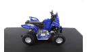 Под ЗАКАЗ! См.ТЕКСТ! Quad Bike Yamaha 700R Dakar 2017 №262 1/43 Квадроцикл Ямаха Raptor 1:43 Дакар, масштабная модель, Altaya, scale43