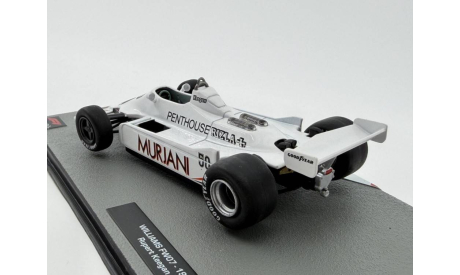 WILLIAMS FW07 - 1980 / Rupert Keegan, масштабная модель, scale43