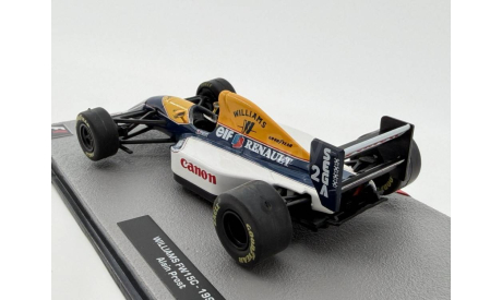Williams FW15C (1993) Alain Prost, масштабная модель, scale43
