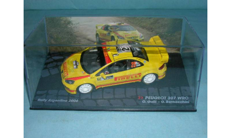 Peugeot 307 WRC #25 G.Galli - G.Bernacchini Rally Argentina (2006) 1:43, масштабная модель, scale43, Altaya