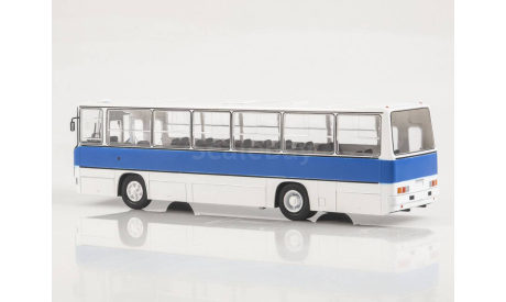 Масштабная модель Икарус-260.51 Пригородный экспресс, Наши Автобусы №81, масштабная модель, MODIMIO, Ikarus, scale43