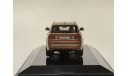Масштабная модель AURUS KOMENDANT copper dusk Dip Models 412413, масштабная модель, Аурус, scale43