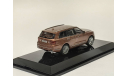 Набор AURUS KOMENDANT copper dusk + 450д ВАИ Dip Models, масштабная модель, Аурус, scale43