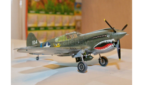 1/48 модель самолета Кертис П-40 США истребитель Летающие тигры Китай, масштабные модели авиации, коллекция Новостройки СПб, scale48