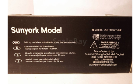 Mitsubishi MMC Delica Sunyork 1/43, масштабная модель, scale43