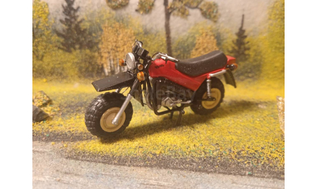 Мотоцикл Тула ТМЗ-200 масштаб 1:43, масштабная модель мотоцикла, scale43