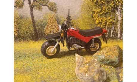 Мотоцикл Тула ТМЗ-200 масштаб 1:43, масштабная модель мотоцикла, scale43