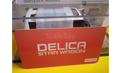 Mitsubishi Delica Star Wagon 1:43 Sunyork