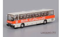 Автобус Ikarus Икарус 250.58 1981 Совтрансавто СССР ClassicBus 1:43, масштабная модель, scale43