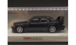 1/43 Mercedes-Benz 190e EVO2 Grey 1990 - TSM