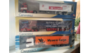 Scania 6х2 Wyvern Cargo   CARARAMA 1/50, масштабная модель, scale50