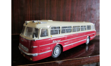 автобус Икарус-55 Люкс, масштабная модель, Ikarus, Vector-Models, 1:43, 1/43