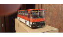 Модель IKARUS 256.54, масштабная модель, Classicbus, scale43