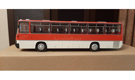 Модель IKARUS 256.54, масштабная модель, Classicbus, scale43