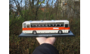 IKARUS 250.58, масштабная модель, Classicbus, scale43