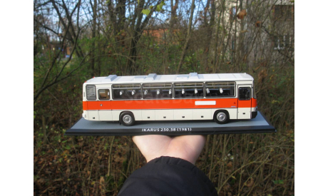 IKARUS 250.58, масштабная модель, Classicbus, scale43