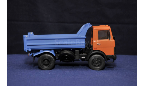 МАЗ 5551, масштабная модель, 1:43, 1/43, Автоистория (АИСТ)