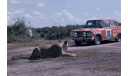 Декаль Москвич-412 rally ’Safari’ 1975, фототравление, декали, краски, материалы, Fortena, 1:43, 1/43
