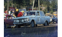 Декаль Москвич-408 - ралли ’1000 озер’ 1969, фототравление, декали, краски, материалы, Fortena, scale43