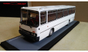 Ikarus 256.54, цвет: белый, масштабная модель, Classicbus, scale43